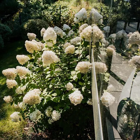 By The דירה אוסטראודה