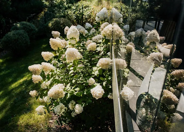 By The 公寓 奥斯特罗达